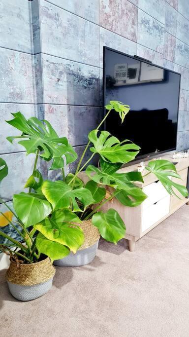 Stylish 2 Bedroom Apartment / Free Gated Parking Glasgow Bagian luar foto